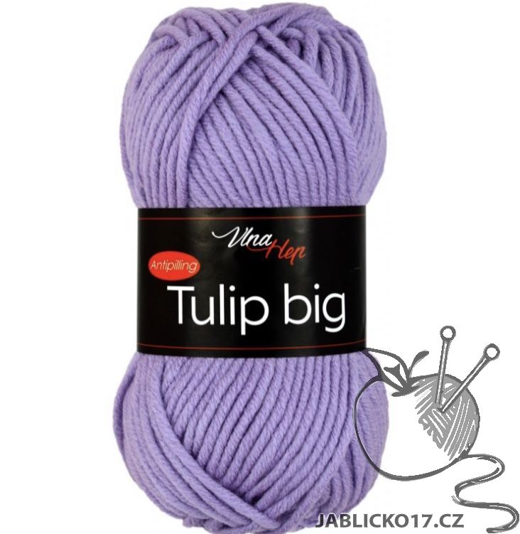 Tulip Big  fialová