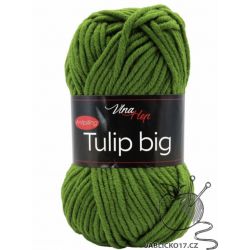 Tulip Big zelená