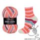 Best Socks 6-fach