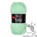 Tulip zelená
