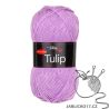 Tulip fialová