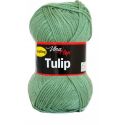 Tulip zelená