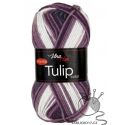 Tulip color - 5214