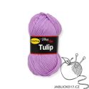 Tulip fialová